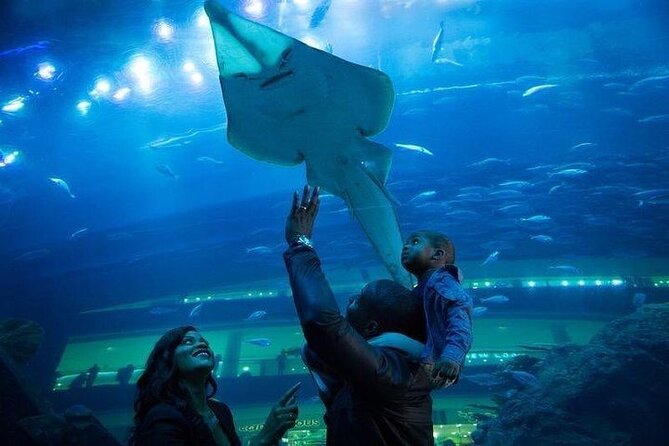 Dubai Aquarium underater zoo penguin cove with optional transport - Is $89 a fair price?