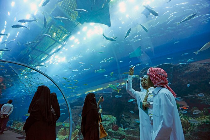 Dubai Aquarium & Underwater Zoo with Penguin Cove - Penguin Cove: A Different Kind of Animal Encounter