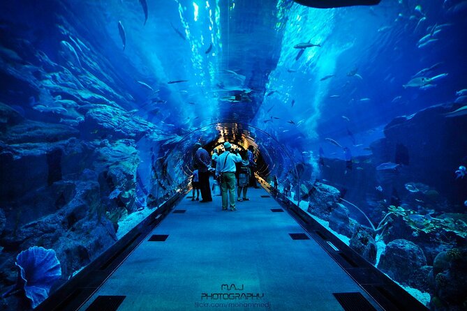 Dubai Aquarium & Underwater Zoo with Penguin Cove - Glass-Bottom Boats and Shark Activities
