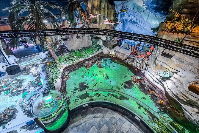 Dubai Aquarium UnderwaterZoo and Penguin cove Admission Ticket - Forty displays at the Underwater Zoo