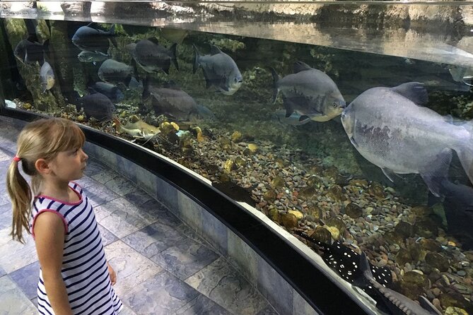 Dubai Aquarium UnderwaterZoo and Penguin cove Admission Ticket - The ticket problem you should take seriously