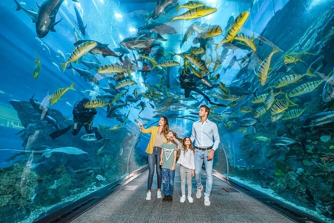 Dubai Aquarium UnderwaterZoo and Penguin cove Admission Ticket - Who will enjoy this experience most