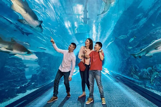 Dubai Aquarium UnderwaterZoo and Penguin cove Admission Ticket - Walking through the 48-meter aquarium tunnel