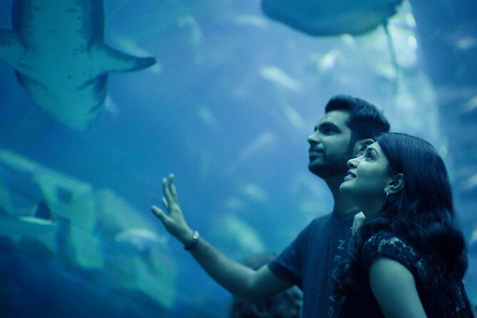 Dubai Aquarium with Various Animal Encounter and Access Options - Crowds, timing, and the best way to plan your visit