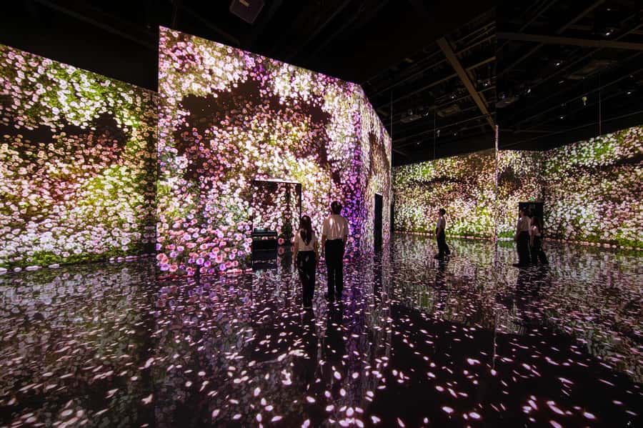 Dubai: Arte Immersive Museum Entry Ticket - Life of UAE gives the visit a local focus