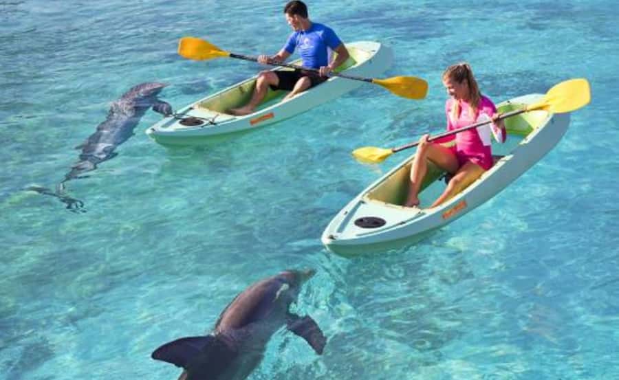 Dubai: Atlantis Dolphin Kayak Trip & Aquaventure Waterpark - What the kayaking portion is really like
