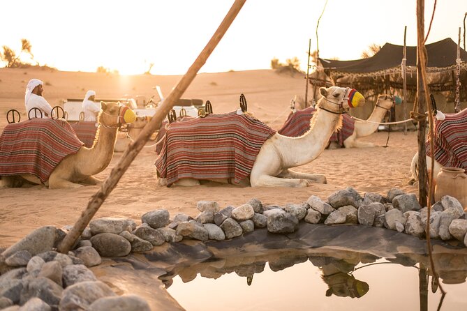 Dubai: Bedouin Culture Safari - A Short Camel Ride Toward the Village