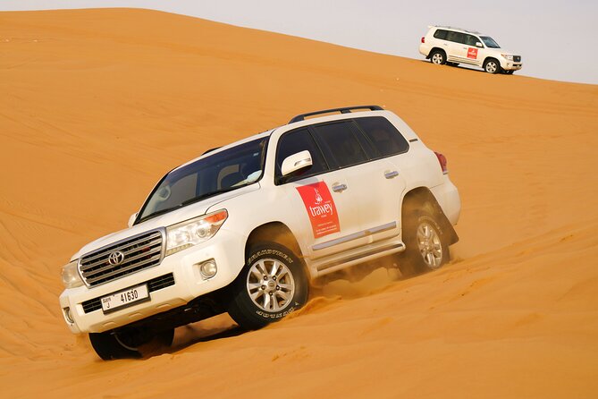 Dubai Buggy Tour in red sands and Desert Safari - What dune bashing adds