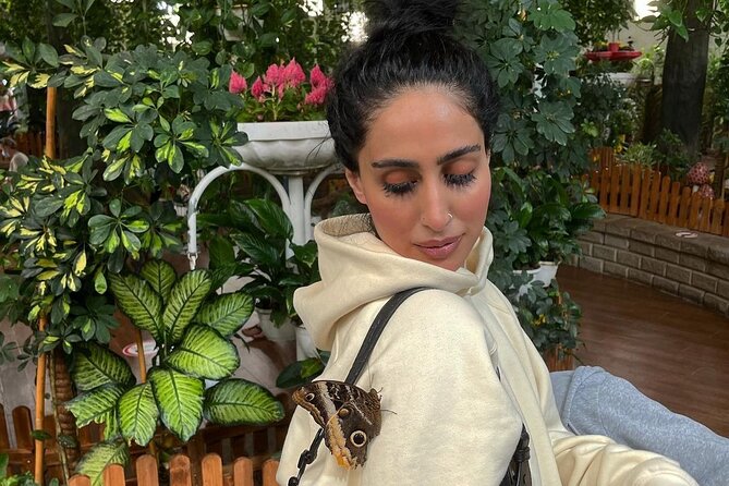Dubai Butterfly Garden Entry Ticket - Key points to know before you go