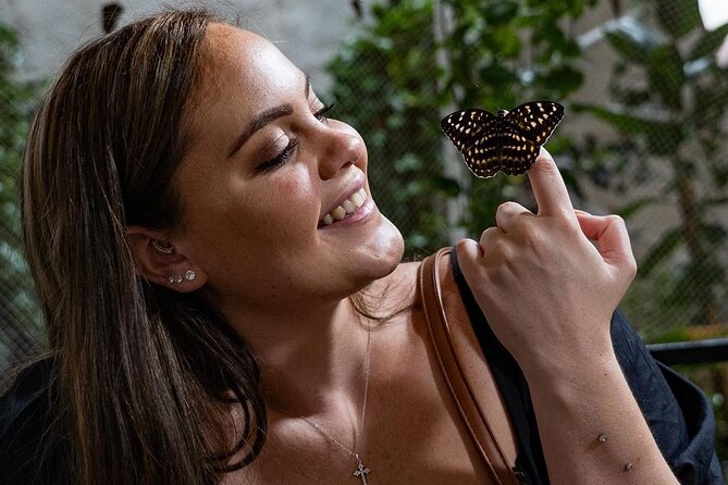 Dubai Butterfly Garden Entry Ticket - Walking through the different areas