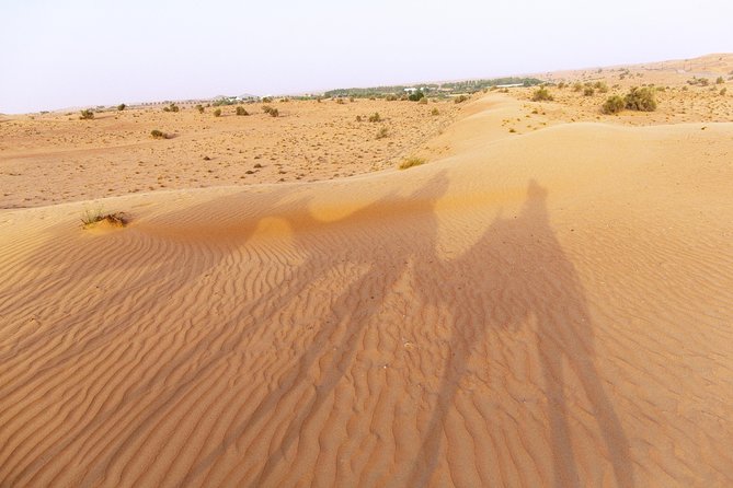 Dubai Camel Desert Safari, Traditional Meal & Heritage Activities - Why this safari feels different from dune bashing