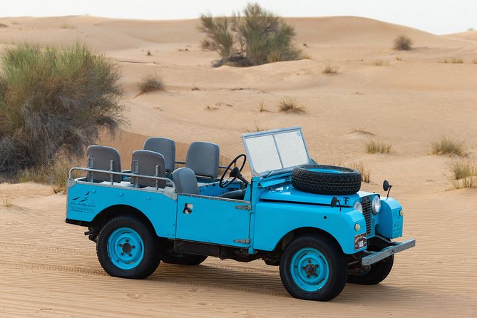Dubai Camel Desert Safari, Traditional Meal & Heritage Activities - Sunset falconry, with one practical sound issue