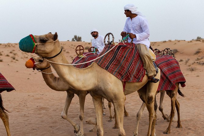 Dubai Camel Desert Safari, Traditional Meal & Heritage Activities - The torch-lit Bedouin camp