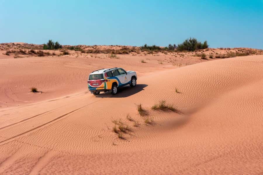 Dubai: Camel Safari, Wildlife & Lakeside Breakfast - Key points to know before booking