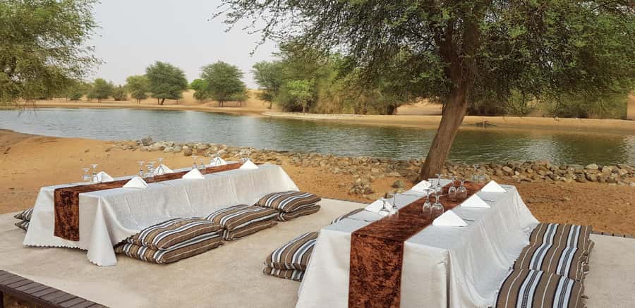 Dubai: Camel Safari, Wildlife & Lakeside Breakfast - What the tour leaves out