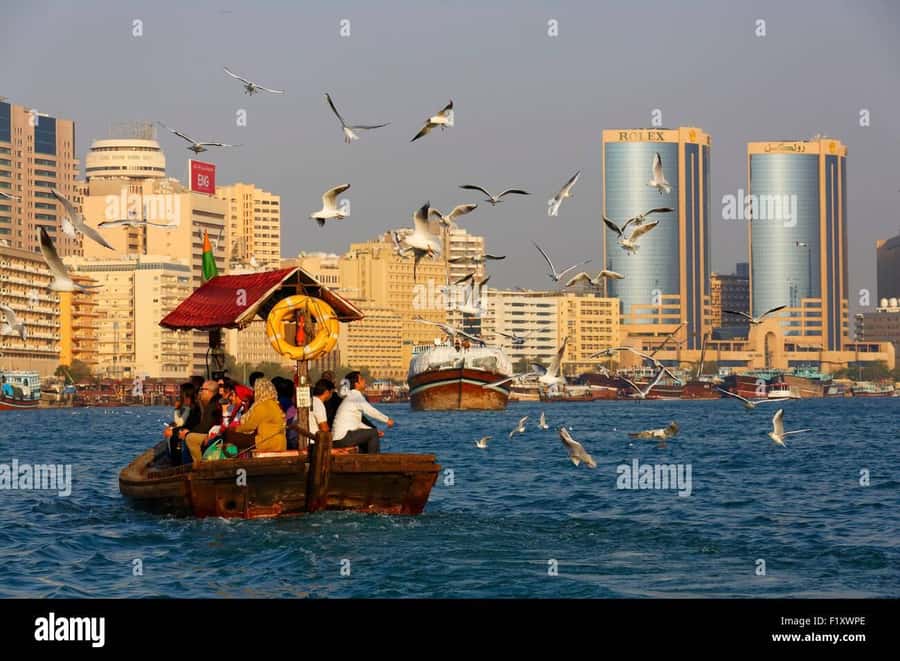 Dubai: City Highlights Private Layover Tour with Transfer - Dubai Marina and Sheikh Zayed Road show the modern city