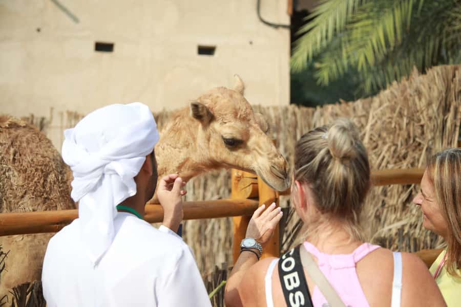 Dubai: City Highlights Private Layover Tour with Transfer - Burj Khalifa and Dubai Mall are the busiest stops