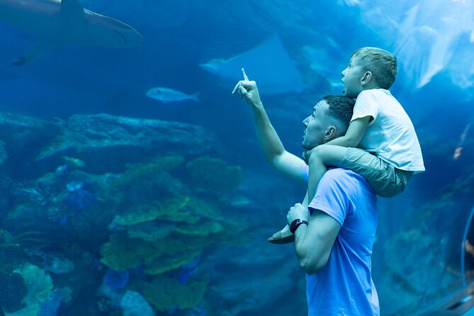 Dubai City Pass: all inclusive Pass with Hop On Hop Off & tours - Palm Jumeirah viewpoints and boat rides