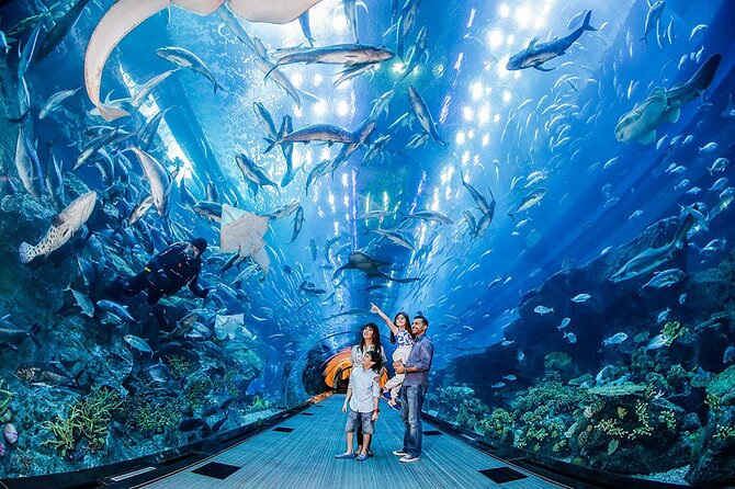 Dubai City Pass: all inclusive Pass with Hop On Hop Off & tours - The desert safari and six hours beyond the towers