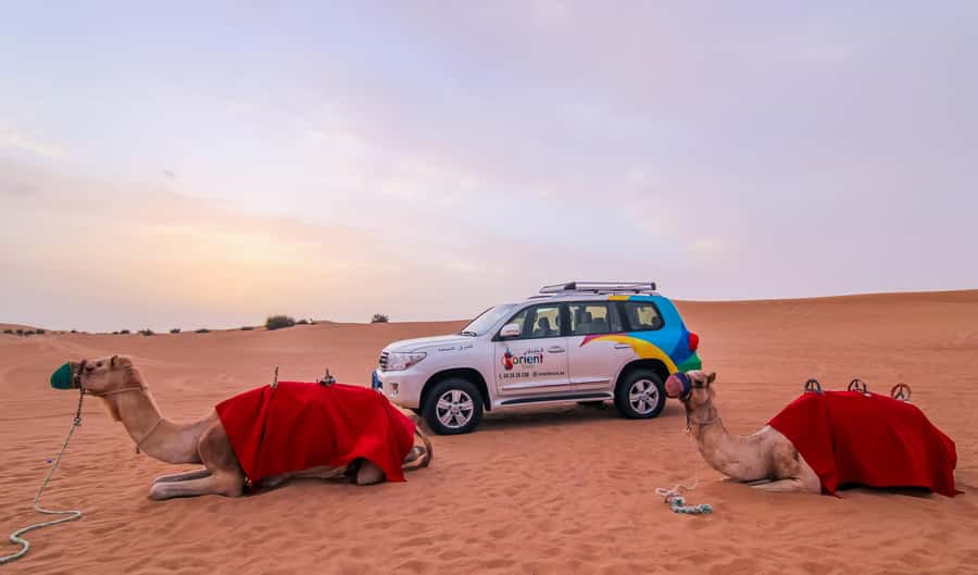 Dubai: City Tour and Desert Experience with Fun Activities - Camel riding, sandboarding, and henna at camp