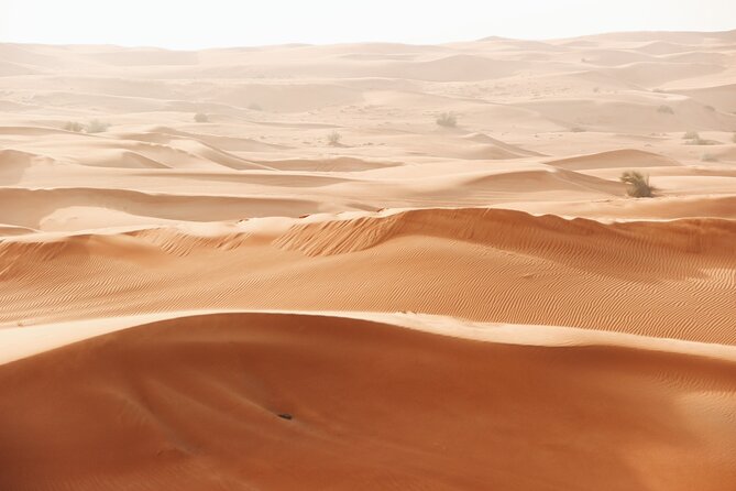 Dubai City tour and Desert Safari Combo with free Arabic scarf - Dinner, music, and the camp program