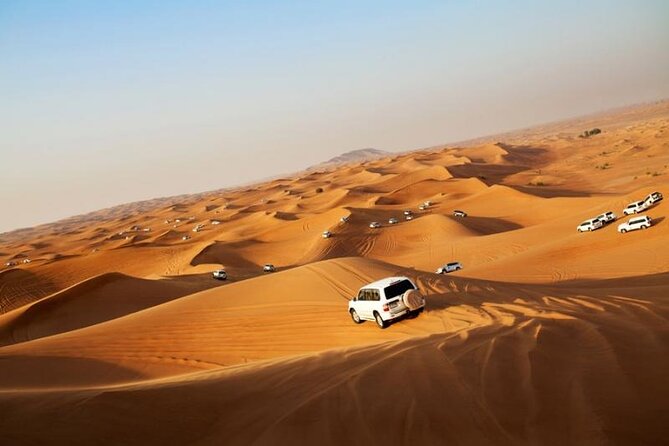 Dubai City Tour and Evening Desert Safari Combo - Key points at a glance