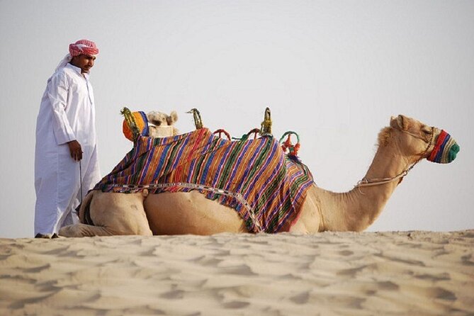 Dubai City Tour and Evening Desert Safari Combo - Al Khayma Camp is more than a dinner stop