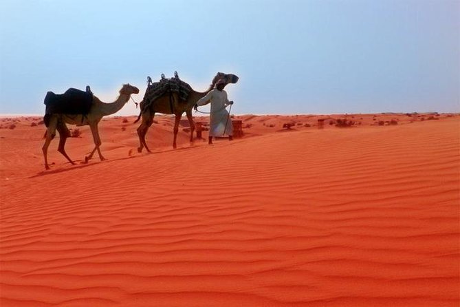 Dubai City Tour (Old & New) Desert Safari, BBQ, Camel Ride, Shows - Starting With Dubai’s Older Face