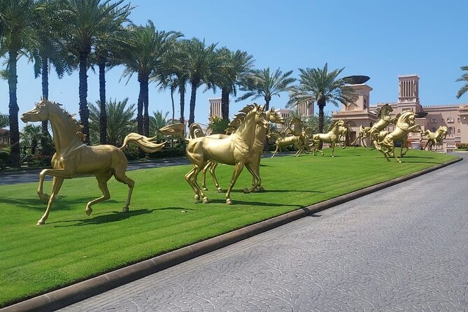 Dubai City Tour (Old & New) Desert Safari, BBQ, Camel Ride, Shows - The Midday Break Needs Some Planning