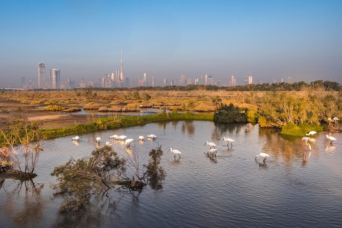 Dubai City Tour with Burj Khalifa - Crossing Dubai Creek by abra
