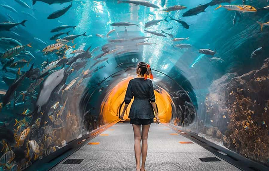 Dubai: City Tour with Burj Khalifa and Underwater Zoo Ticket - A useful way to see Dubai’s two personalities