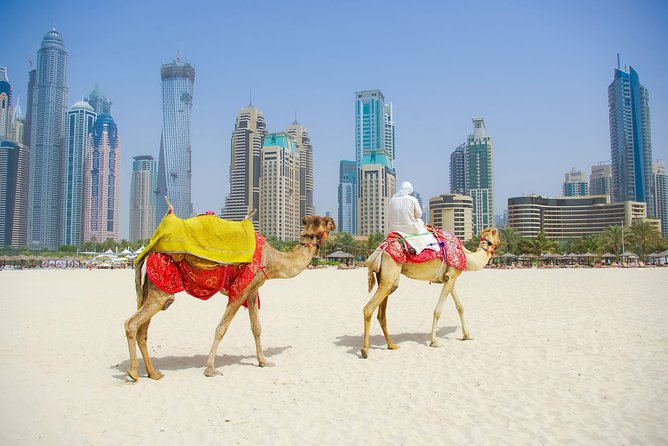 Dubai City Tour with Burj Khalifa at the top entry - The Palace Photo Stop and Burj Khalifa Entry