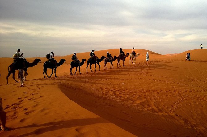 Dubai City Tour with Desert Safari, Camel Ride, Dune Bashing & BBQ - Jumeirah Beach and the Burj Al Arab photo stop