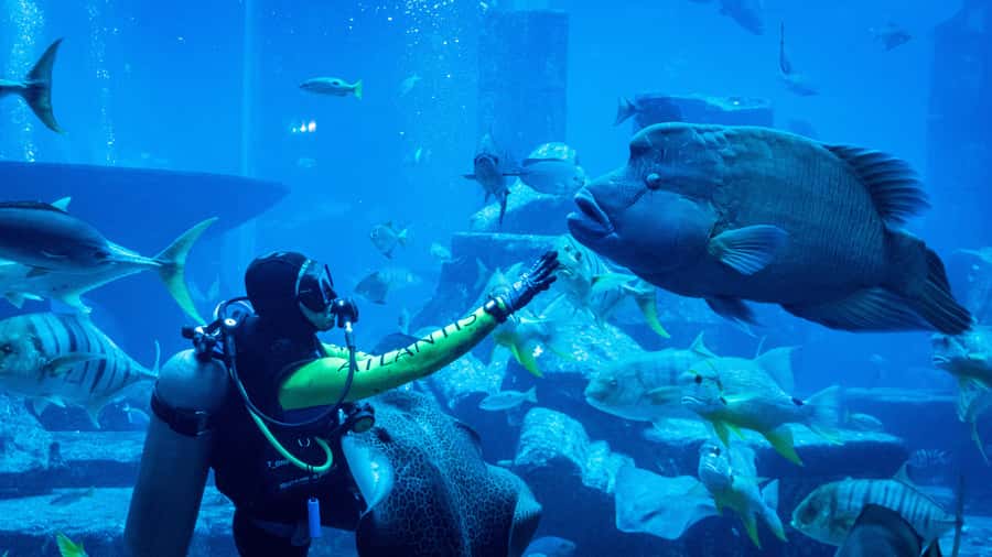 Dubai: City Tour with Iconic Attractions Tickets - Alserkal Avenue adds art to a day of superlatives