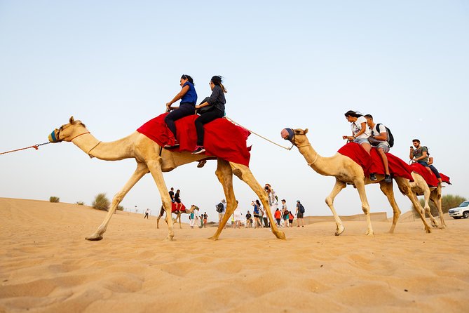 Dubai Combo:City Tour and Premium Desert Safari with all Activities - Key points at a glance