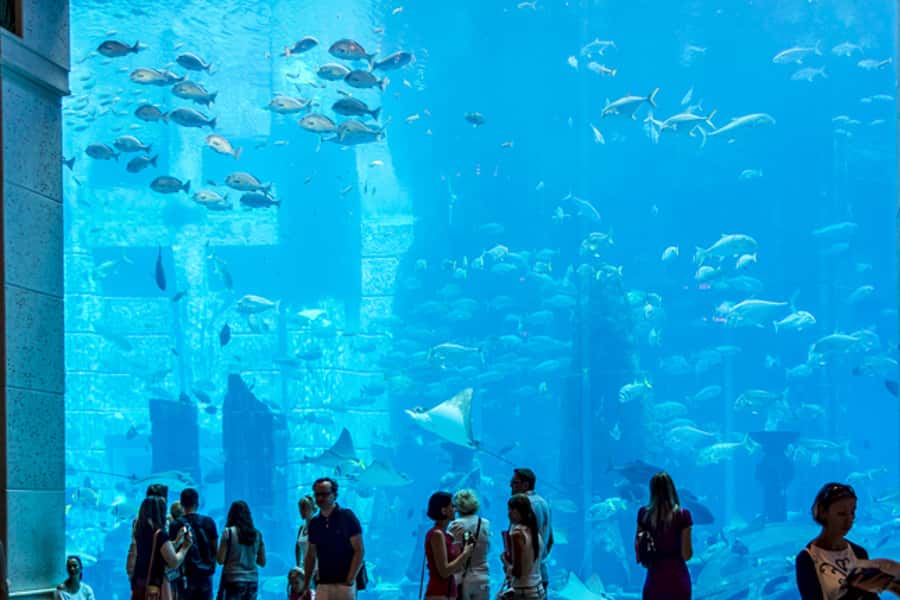 Dubai Combo: Morning City Tour & Evening Desert Safari - Seeing Dubai’s traditional side