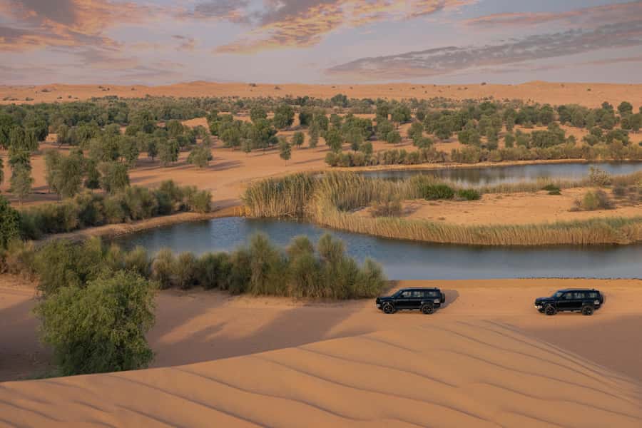 Dubai: Conservation Drive & Platinum Breakfast - Why this desert tour feels different