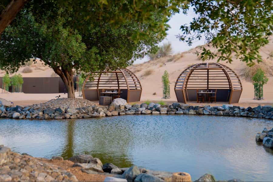 Dubai: Conservation Drive & Platinum Breakfast - Falconry and the Emirati connection