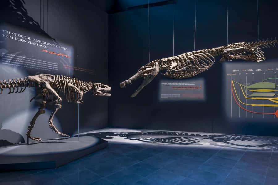 Dubai Crocodile Park Ticket - Five things worth knowing before you go