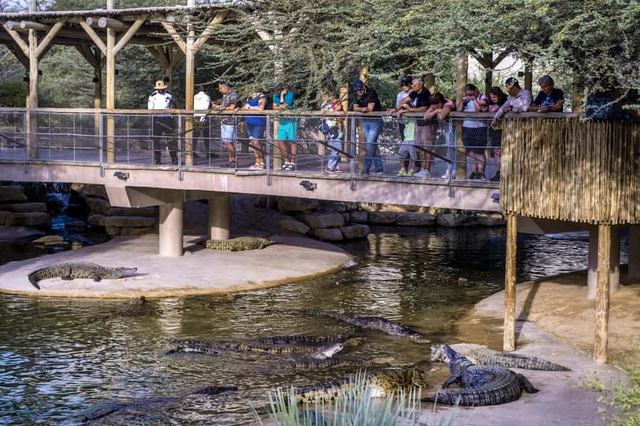 Dubai Crocodile Park Ticket - Practical tips for a better visit