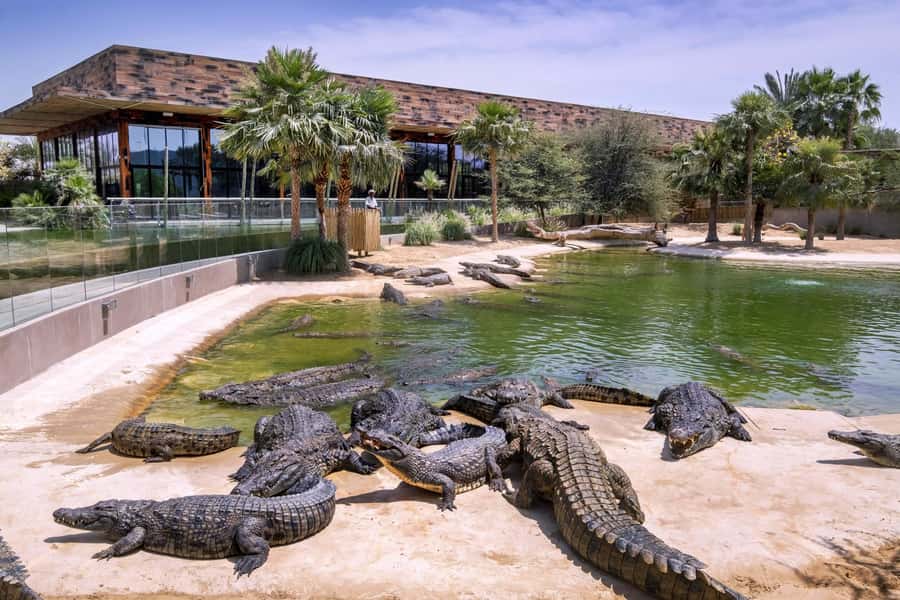 Dubai Crocodile Park Ticket - The Natural History Museum and 200 million years of evolution