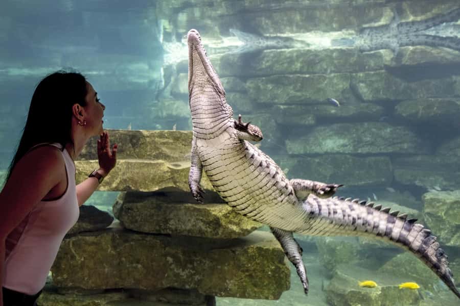 Dubai Crocodile Park Ticket - How long the visit takes and what the $17 price means