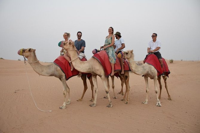 Dubai Desert 4x4 Dune Bashing, Sandboarding, Camel Riding, Dinner - Sandboarding on the dunes