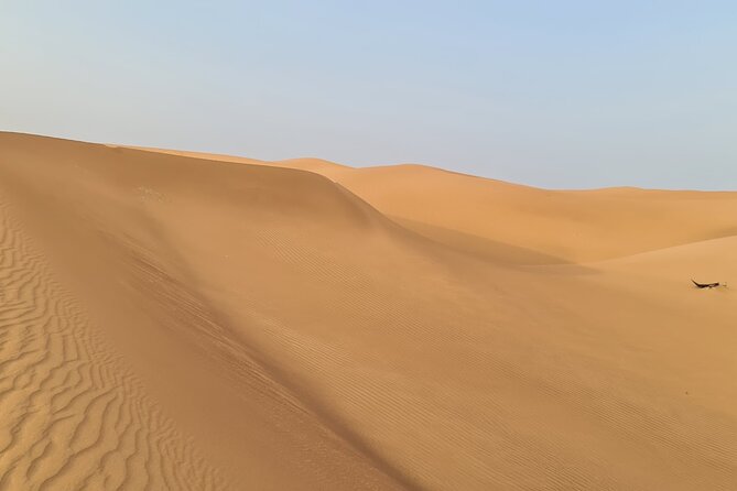 Dubai Desert 4x4 Dune Bashing, Self-Ride 30min ATV Quad, Camel Ride,Shows,Dinner - Camel Riding and Sandboarding at the Camp
