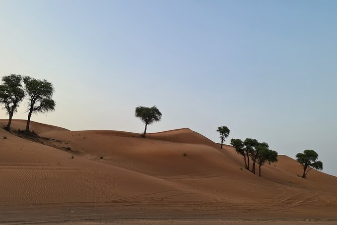 Dubai Desert 4x4 Dune Bashing, Self-Ride 30min ATV Quad, Camel Ride,Shows,Dinner - Belly Dance, Tanura, and Fire Under the Stars