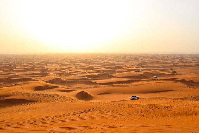 Dubai Desert 4x4 Safari with Camp activities & BBQ Dinner - Sandboarding and the short camel ride