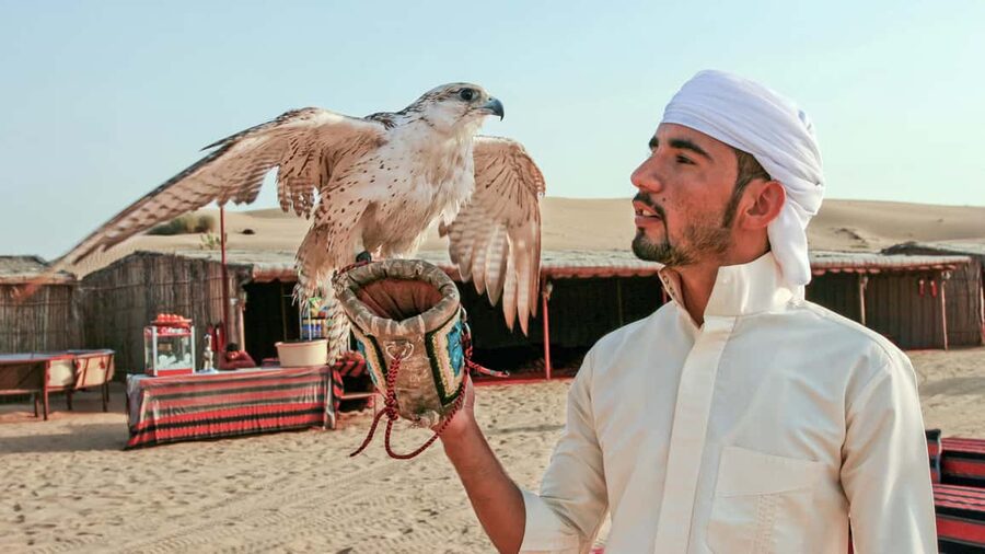 Dubai Desert Adventure: Red Dunes Guided Quad/Polaris & BBQ - Who should book this desert adventure?