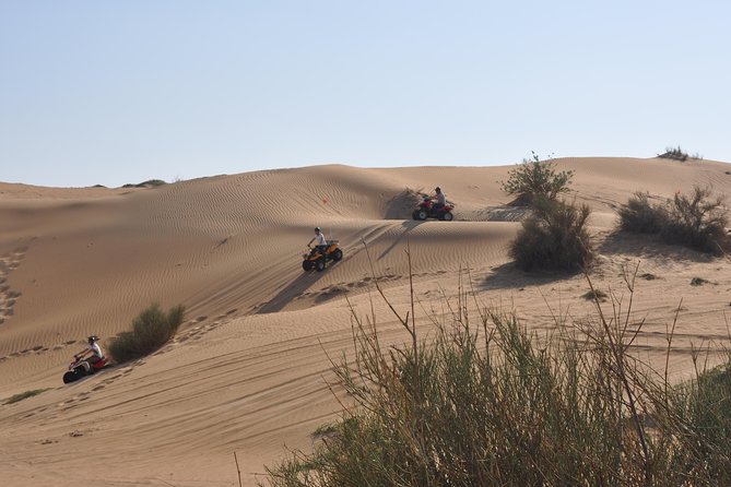 Dubai Desert Afternoon Quad Safari with Camel Ride, BBQ Dinner and Belly Dancing - Key points to know before booking