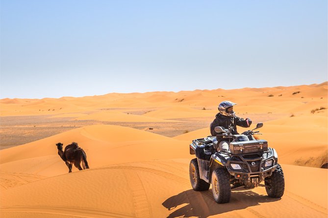 Dubai Desert BBQ Dinner, Camel Ride, Sandboarding and Live Shows - Arriving at the Majlis Desert Safari Camp