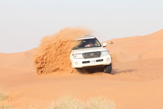 Dubai Desert Bespoke: Red Dunes Safari, Camel Ride & BBQ Options - Sandboarding and the high-dune photo stop